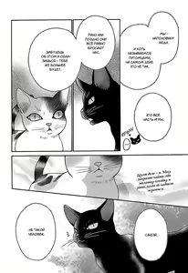 Page 172 of Nekoka Kareshi no Ayashikata | Правила воспитания бойфренда-котоборотня - preview thumbnail