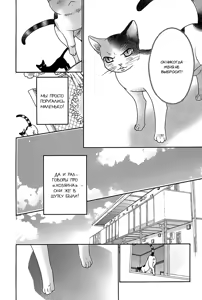 Page 173 of Nekoka Kareshi no Ayashikata | Правила воспитания бойфренда-котоборотня - preview thumbnail
