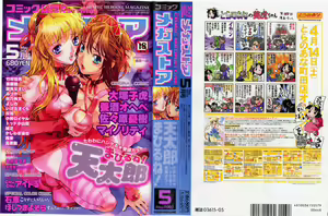 Comic Megastore 2007-05 — hentai manga cover on Fhentai