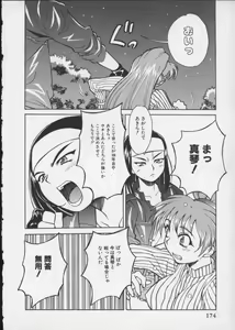 Page 177 of Viper V-5 - preview thumbnail