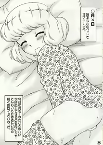 Page 24 of GIRLS FILE - preview thumbnail