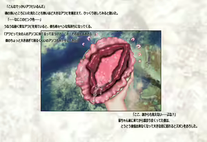 Page 3 of Oppai Awabi Nyoubou ~Umigami-sama Haramase Shingakki~ - preview thumbnail