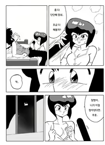 Page 13 of らんまの試み - preview thumbnail