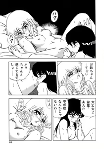 Page 67 of Himitsu no Kouishitsu - preview thumbnail