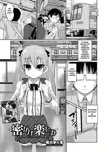 Hisokana Tanoshimi — hentai manga cover on Fhentai