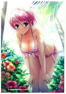 Page 105 of Walkure Romanze More & More Visual Fan Book - preview thumbnail