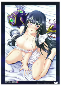 Page 11 of Ikusa Otome Valkyrie 2 Visual Fanbook - preview thumbnail