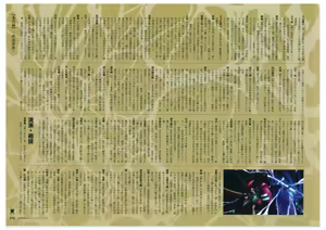 Page 191 of Full Metal Daemon Muramasa Visual Fan Book TECH GIAN STYLE - preview thumbnail