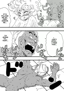 Page 17 of NAM VS RANFAN - preview thumbnail