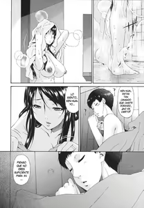 Page 243 of Hametorare - preview thumbnail
