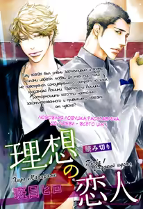 Page 15 of Ideal Lover - vol.1 - preview thumbnail