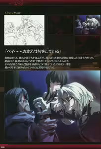Page 38 of Dies irae Visual Fanbook - Black Book - preview thumbnail