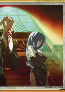 Page 88 of Dies irae Visual Fanbook - White Book - preview thumbnail