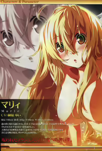 Page 9 of Dies irae Visual Fanbook - White Book - preview thumbnail