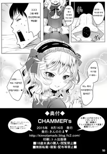 Page 17 of CHAMMER's - preview thumbnail