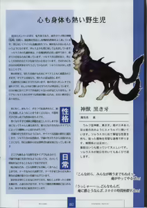 Page 55 of Seinarukana The Spirit of Eternity Sword 2 Material Book - preview thumbnail