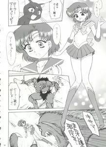 Page 17 of SUBMISSION-R RE MERCURY - preview thumbnail
