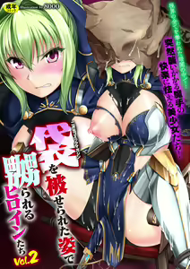 2D Comic Magazine Fukuro o Kabuserareta Sugata de Naburareru Heroine-tachi Vol. 2 — hentai manga cover on Fhentai