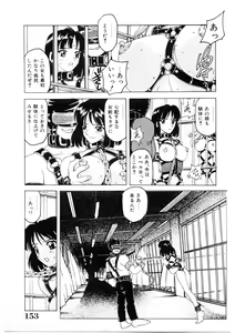 Page 152 of Choukyou Injuu Zukan - preview thumbnail