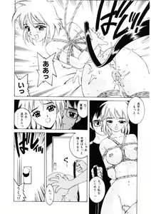 Page 93 of Choukyou Injuu Zukan - preview thumbnail