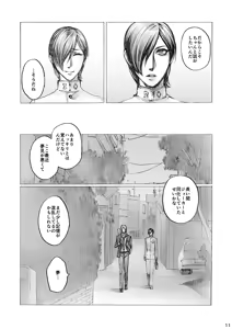 Page 11 of SHADOW AND SHADOW - preview thumbnail