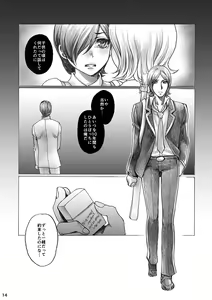Page 14 of SHADOW AND SHADOW - preview thumbnail