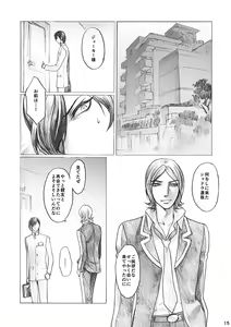 Page 15 of SHADOW AND SHADOW - preview thumbnail