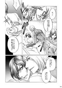 Page 19 of SHADOW AND SHADOW - preview thumbnail