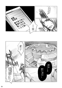 Page 20 of SHADOW AND SHADOW - preview thumbnail