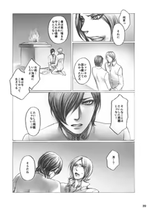 Page 39 of SHADOW AND SHADOW - preview thumbnail