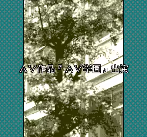 Page 15 of AV Tanjou - preview thumbnail