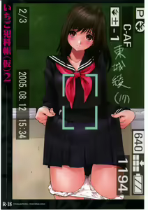Ichigo Hankachou (Kari) 2 — hentai manga cover on Fhentai