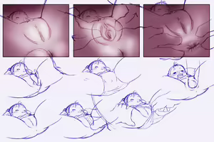 Page 253 of Art Collection - preview thumbnail