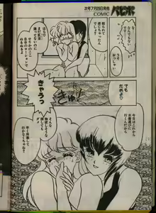 Page 208 of Comic Papipo 1993-08 - preview thumbnail