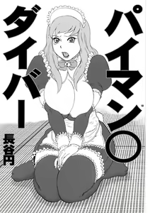 Page 13 of Paiman Diver - preview thumbnail