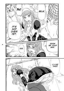 Page 16 of Paiman Diver - preview thumbnail