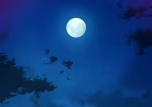 Page 264 of Daremo Inai Bokou wa JK to Ore no Sex Himitsu Kichi | 아무도 없는 모교는 여고생과 나의 섹스 비밀기지 - preview thumbnail