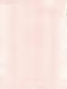 Page 3 of PINK MACADAMIAN Vol. 2 - preview thumbnail
