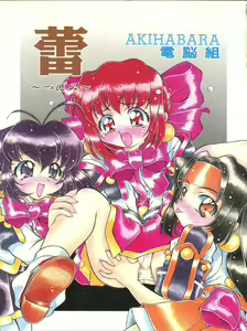 Tsubomi — hentai manga cover on Fhentai