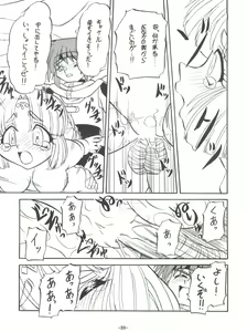 Page 35 of BTB-23 DOUBLE INCOME - preview thumbnail