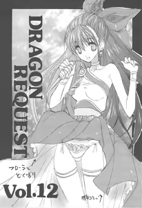 Page 2 of DRAGON REQUEST Vol. 12 - preview thumbnail