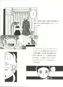 Page 3 of Mahou Shoujo Pretty Sammy R - preview thumbnail