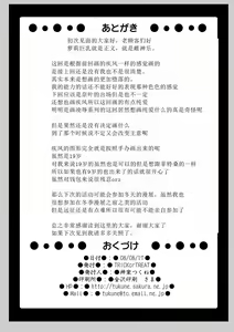 Page 26 of InSulT II - preview thumbnail