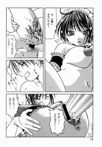 Page 12 of Kore ga Watashi-tachi no Danna-sama - preview thumbnail