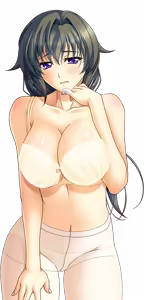 Page 1013 of Shura no Chikandou Character CGs 2/4 - preview thumbnail
