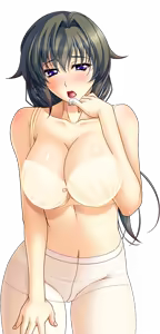 Page 1015 of Shura no Chikandou Character CGs 2/4 - preview thumbnail