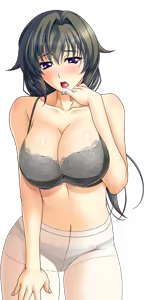 Page 1041 of Shura no Chikandou Character CGs 2/4 - preview thumbnail