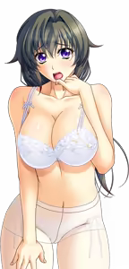 Page 1055 of Shura no Chikandou Character CGs 2/4 - preview thumbnail