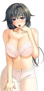 Page 1085 of Shura no Chikandou Character CGs 2/4 - preview thumbnail