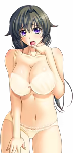 Page 1159 of Shura no Chikandou Character CGs 2/4 - preview thumbnail